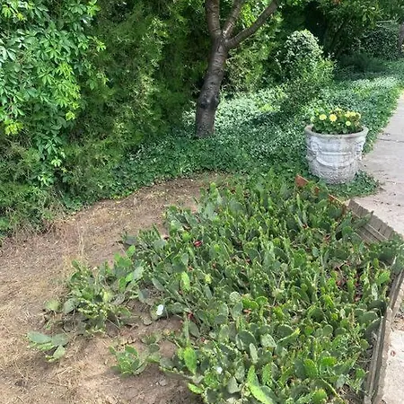 Apartment - Csendes, Kenyelmes Csaladi Haz *